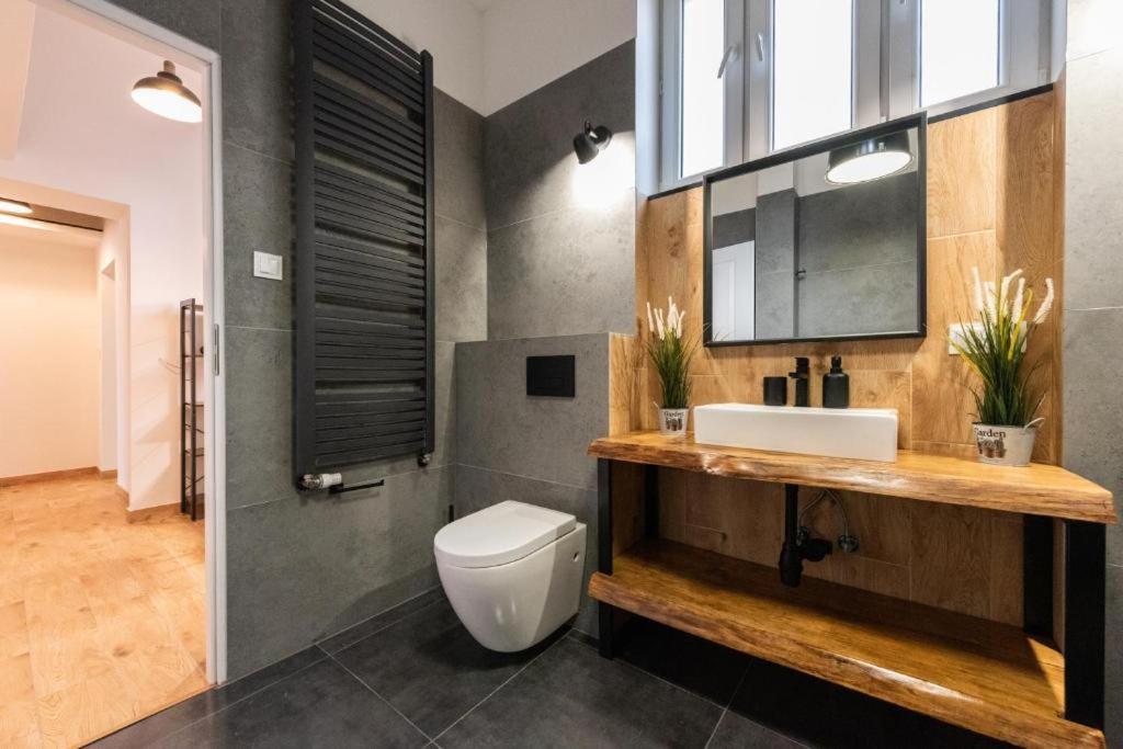 Apartament Loft Apartment Bielsko-Biala Exterior foto